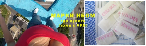 ECSTASY Алзамай