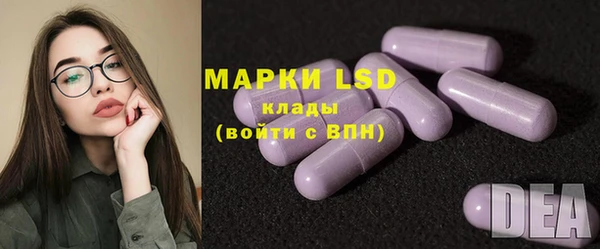 ECSTASY Алзамай