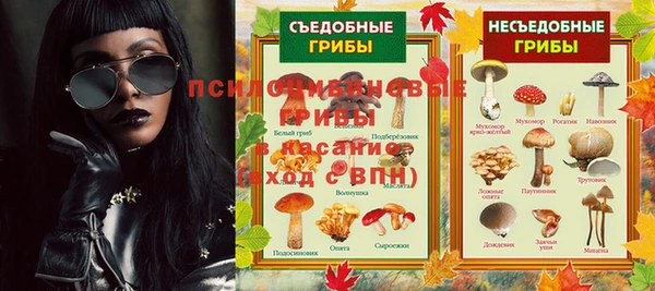 ECSTASY Алзамай