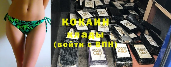 ECSTASY Алзамай