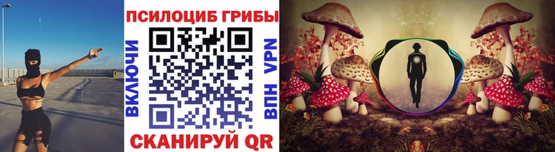 Галлюциногенные грибы ЛСД  Болгар 